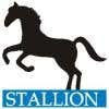 stallionsoft's Profile Picture