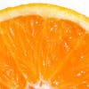 Fotoja e Profilit e orangesolut