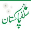 hamzaabbas1's Profile Picture