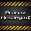 Photo de profil de pranavhosangadi