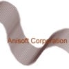 Anisoft Corporation