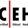 ethicalhack3rs Profilbild