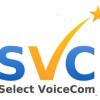 SelectVoiceComPh's Profile Picture