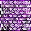 Изображение профиля Brainorganism