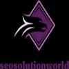 seosolutionworld's Profilbillede