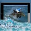 Photo de profil de dolphinedanlu