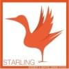 StarlingStudio's Profile Picture