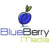 MediaBlueBerry