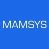 mamsys2012的简历照片