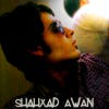 shahxad's Profile Picture