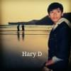 harydestianto's Profile Picture