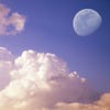  Profilbild von mooncloudae