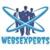 websexperts adlı kullanıcının Profil Resmi